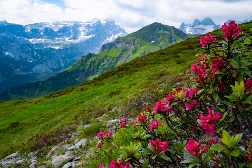 Golmer Höhenweg im Montafon | © Montafon Tourismus GmbH Schruns, Martin Huber Golmer Höhenweg im Montafon | © Montafon Tourismus GmbH Schruns, Martin Huber