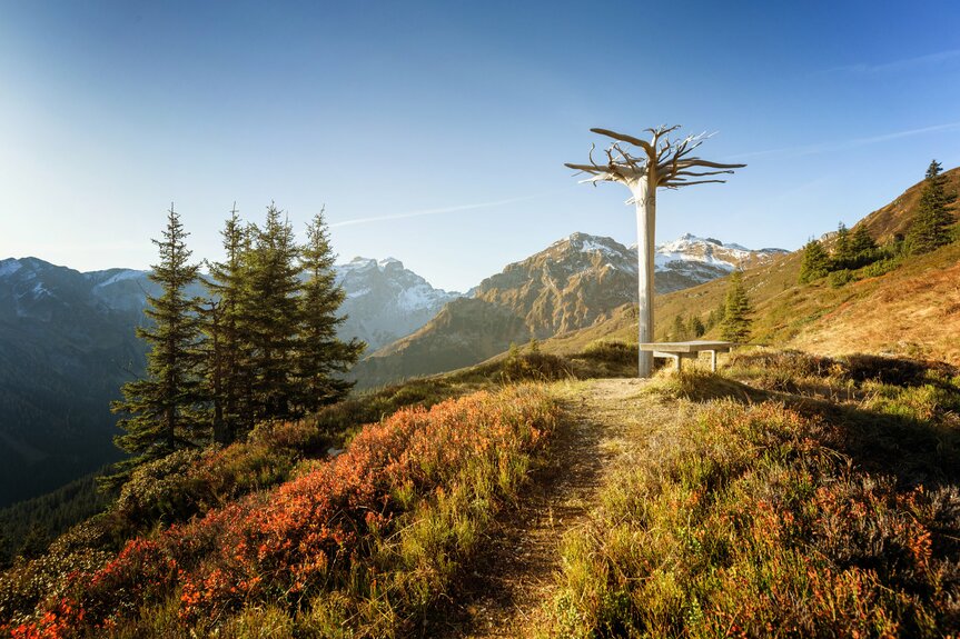 Gauertaler AlpkulTour im Herbst | © Montafon Tourismus GmbH Schruns, Andreas Haller Gauertaler AlpkulTour im Herbst | © Montafon Tourismus GmbH Schruns, Andreas Haller