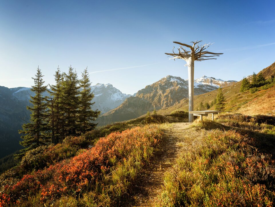 Herbststimmung im Gauertal | © Montafon Tourismus GmbH Schruns, Andreas Haller