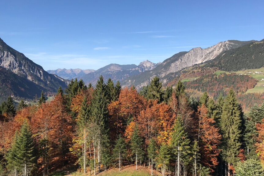 Herbst-Bewegungsberg-Golm-Latschau | © Golm Silvretta Lünersee Tourismus GmbH Bregenz Herbst-Bewegungsberg-Golm-Latschau | © Golm Silvretta Lünersee Tourismus GmbH Bregenz