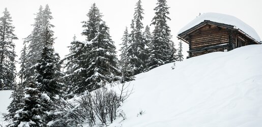 Landschaft-Bewegungsberg-Golm-Montafon | © Golm Silvretta Luenersee Tourismus GmbH Bregenz, Christoph-Schoech Landschaft-Bewegungsberg-Golm-Montafon | © Golm Silvretta Luenersee Tourismus GmbH Bregenz, Christoph-Schoech