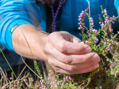 © PATRICK SAELY PHOTOGRAPHY