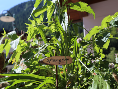 © Roland Fritsch / Montafon