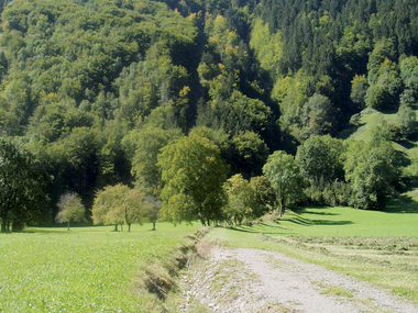 © Julia Mangeng / Projekt Loccata