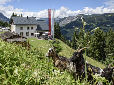 © Patrick Säly / Berggasthof Grabs