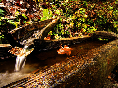 © Christina Wachter