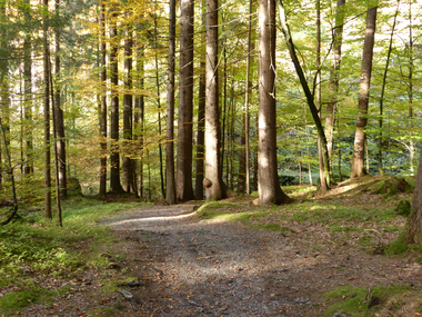 © Christina Wachter