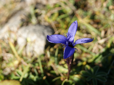 © Christina Wachter