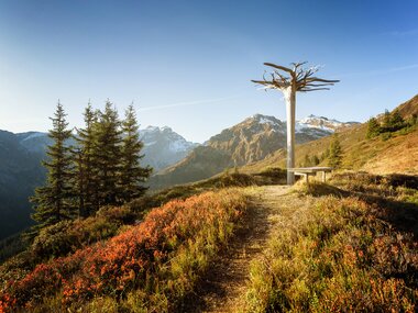 © Andreas Haller / Montafon