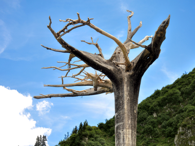 © Ines Agostinelli & Roland Haas / Montafon