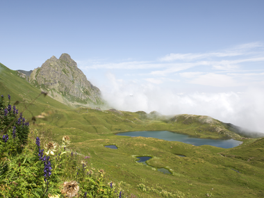 © © Patrick Säly Photography