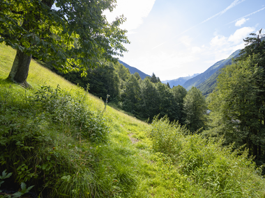 © Stefan Kothner / Montafon