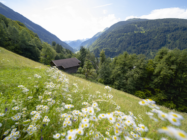 © Stefan Kothner / Montafon