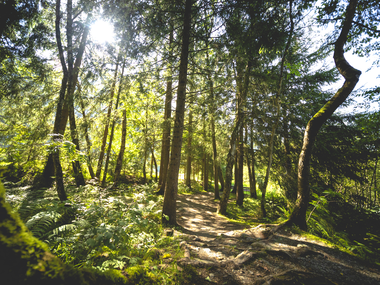 © Stefan Kothner / Montafon