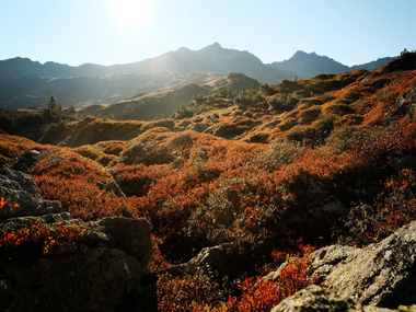 © Montafon Tourismus GmbH, Andreas Haller