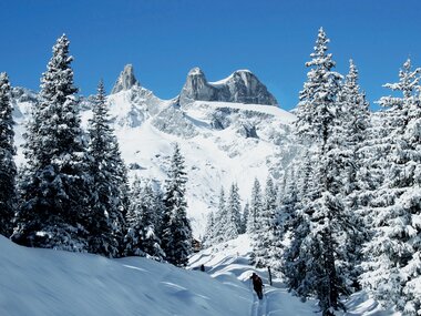 © Montafon