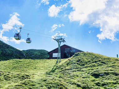 © Saely Patrick Photography