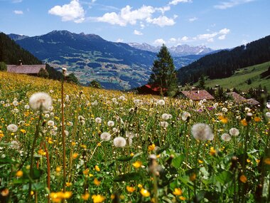 © Markus Fessler-Jenny / Illwerke Tourismus