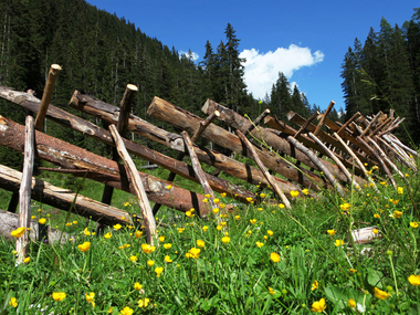 © Christina Wachter