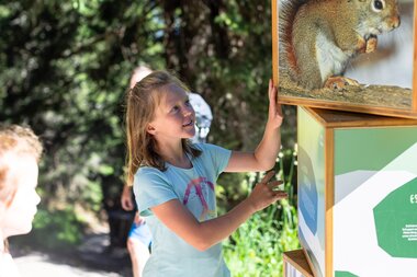 Junges Mädchen, das auf einen Würfelturm mit verschiedenen Informationen zum Leben im Wald blickt | © Golm Silvretta Lünersee Tourismus GmbH Bregenz, Stefan Kothner