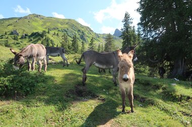 © MONTAFON TOURISMUS GMBH